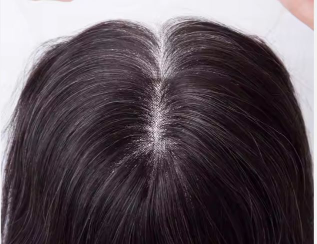 AMANDA Salt & Pepper Fully Hand Tied Mono Top 12A Grade 100% Virgin European Remy Medical Wig