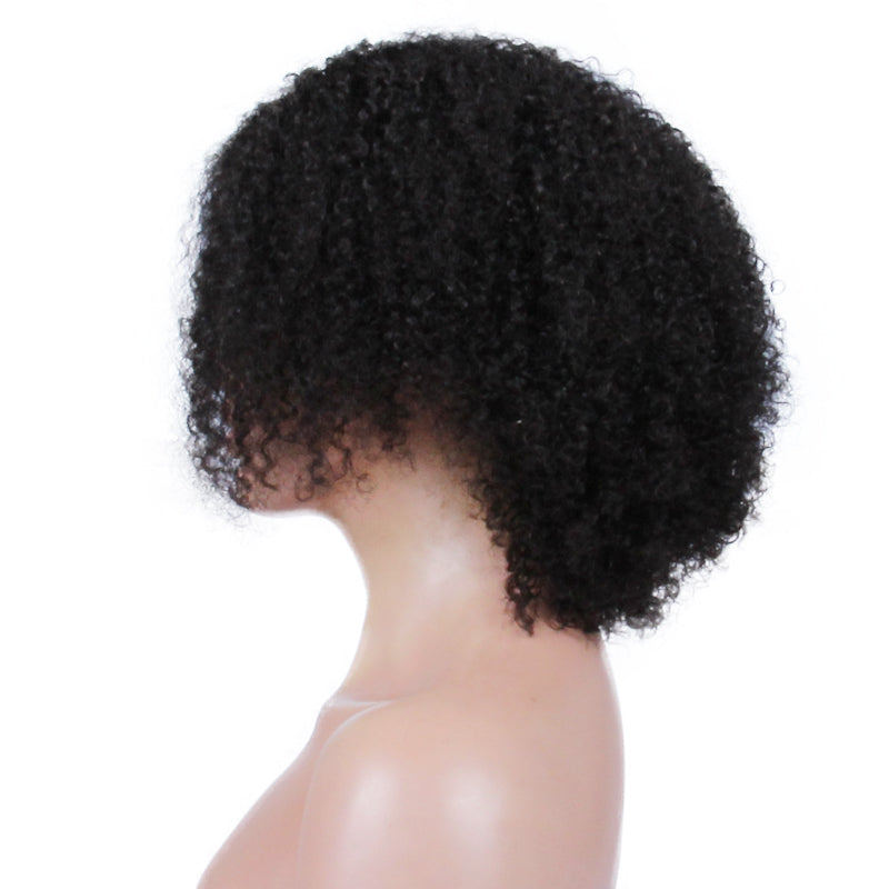 Premier Indian Remy Hair Side Part Natural Brown jerry curl afro style wig curly lace wig