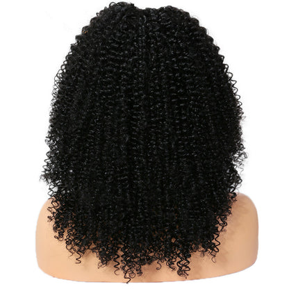 ELISE Brazilian remy human hair u part wig short afro wigs for black women