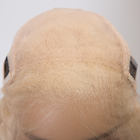 VALENCIA Curly texture Platinum blonde Color short BOB Wig Transparent HD Lace front European virgin Hair Wig